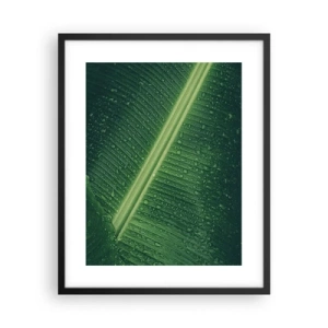 Poster în ramă neagră - Structura verdelui - 40x50 cm