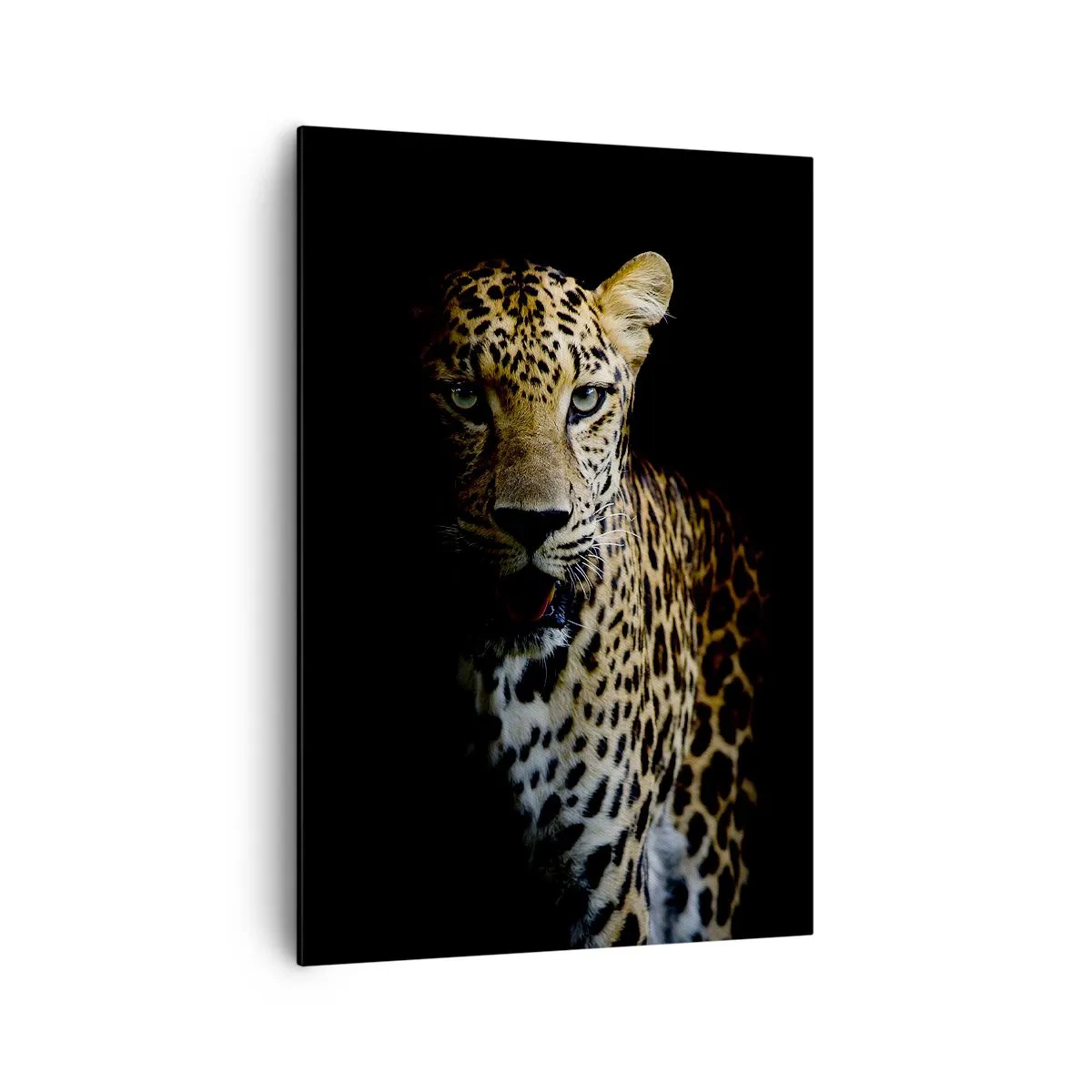 Tablou pe pânză - Frumusețe întunecată - 70x100 cm