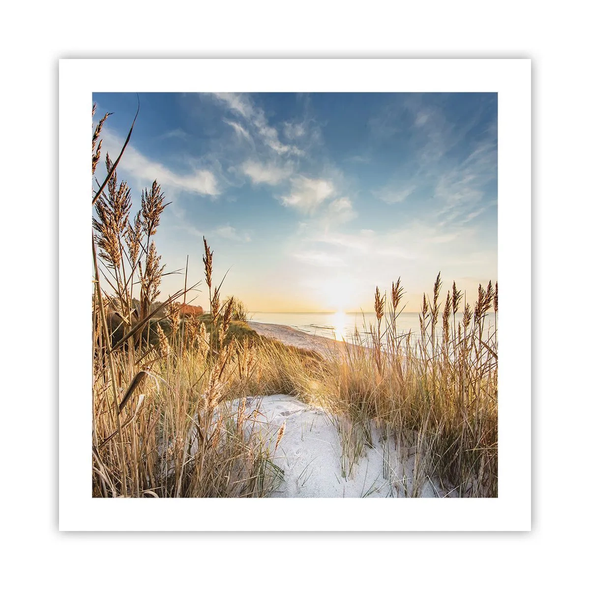 Poster - Plaja de nord - 50x50 cm