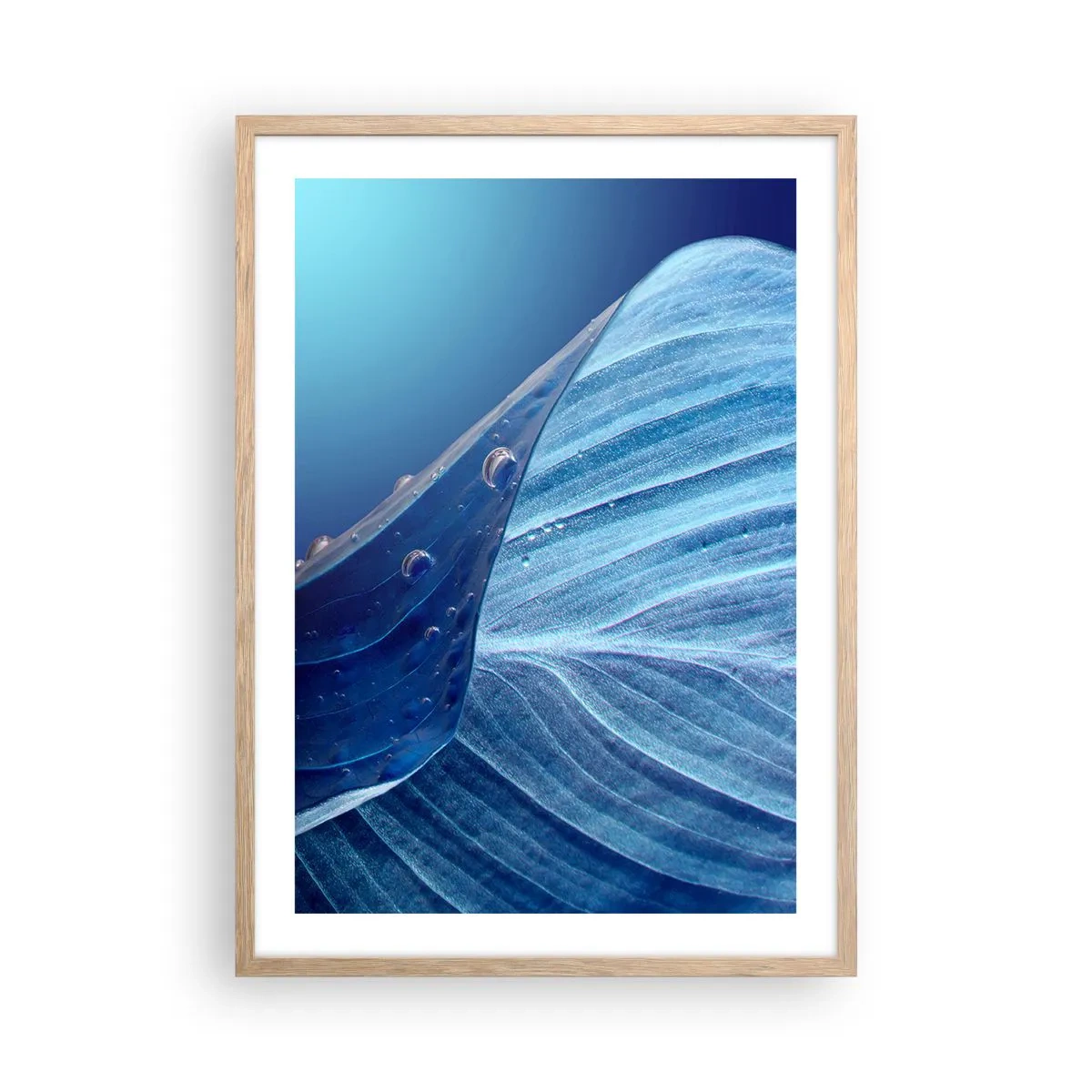 Poster în ramă de stejar deschis - Picături ascunse de albastru - 50x70 cm