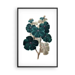 Poster în ramă neagră - Dintr-un vechi ierbar - 61x91 cm
