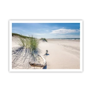 Poster - Cea mai frumoasă? Baltică - 100x70 cm