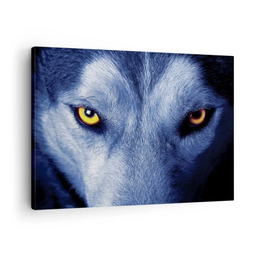 Tablou pe pânză Canvas - Prim-plan al privirii intense a unui lup pe un fundal întunecat - 70x50cm - O privire hipnotizantă - Decorațiune modernă pentru perete pentru living și dormitor ARTTOR