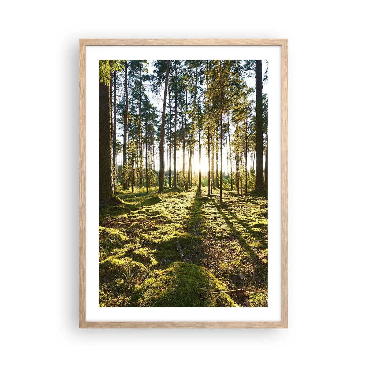 Poster în ramă de stejar deschis - Pădurea misterioasă - 50x70 cm