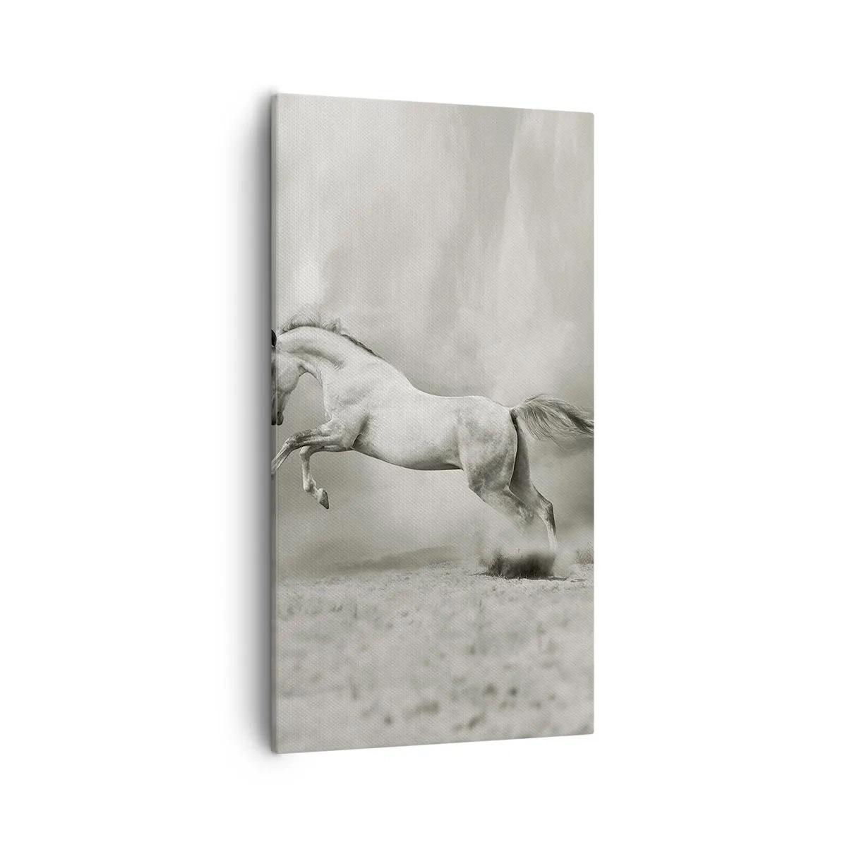 Tablou pe pânză - Între veghe și visare - 55x100 cm