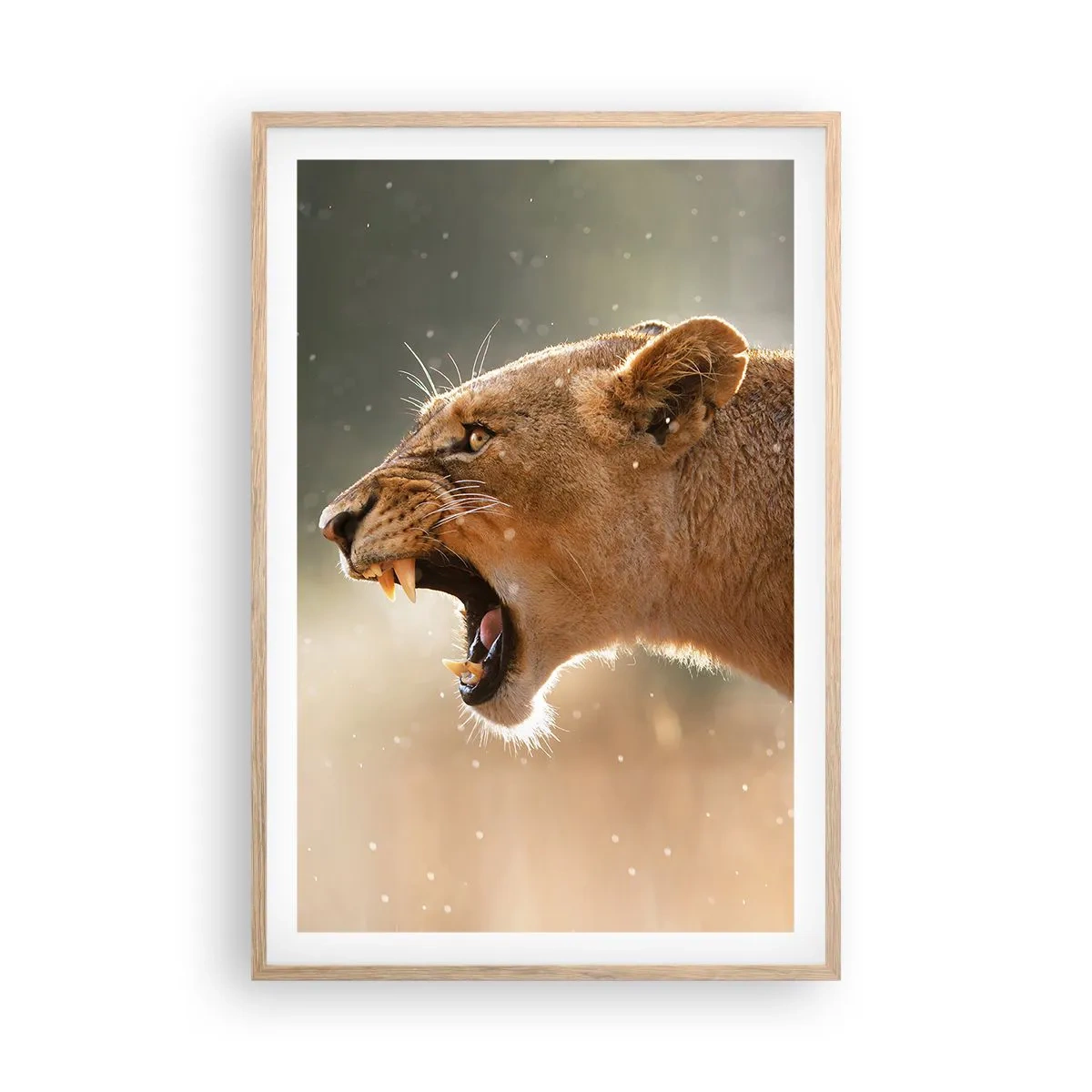 Poster în ramă de stejar deschis - Încearcă să nu asculți - 61x91 cm