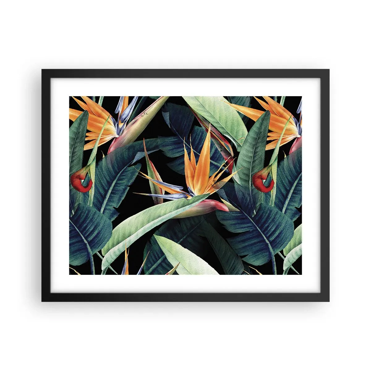 Poster în ramă neagră - Florile de flacără ale tropicelor - 50x40 cm