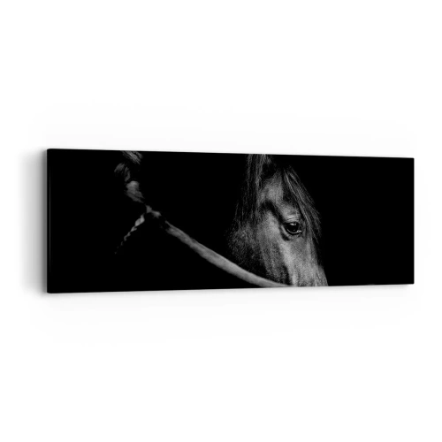 Tablou pe pânză - Prințul negru - 90x30 cm