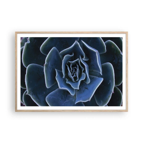 Poster în ramă de stejar deschis - Floare de deșert - 100x70 cm