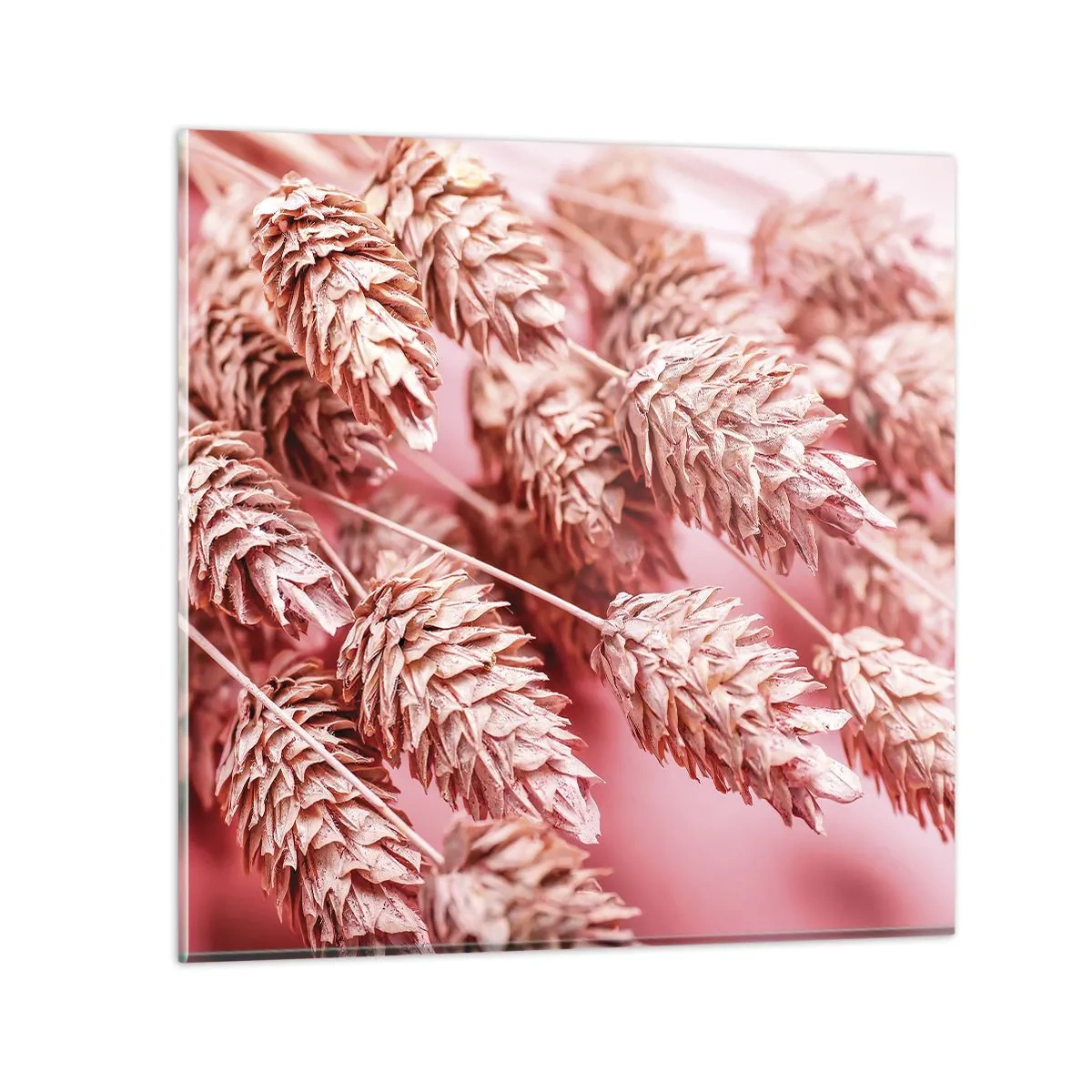 Tablou pe sticlă - Cascadă florală în roz - 40x40 cm