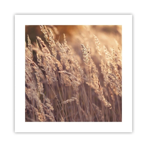Poster - Gata să întâmpine toamna - 40x40 cm