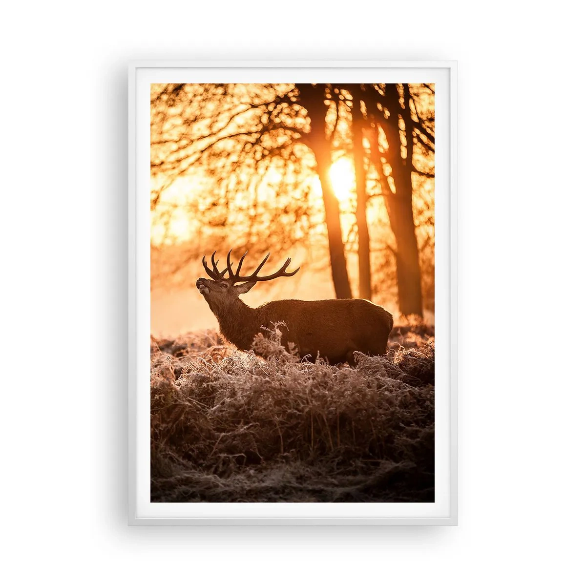 Poster în ramă albă - Visul unui vânător - 70x100 cm