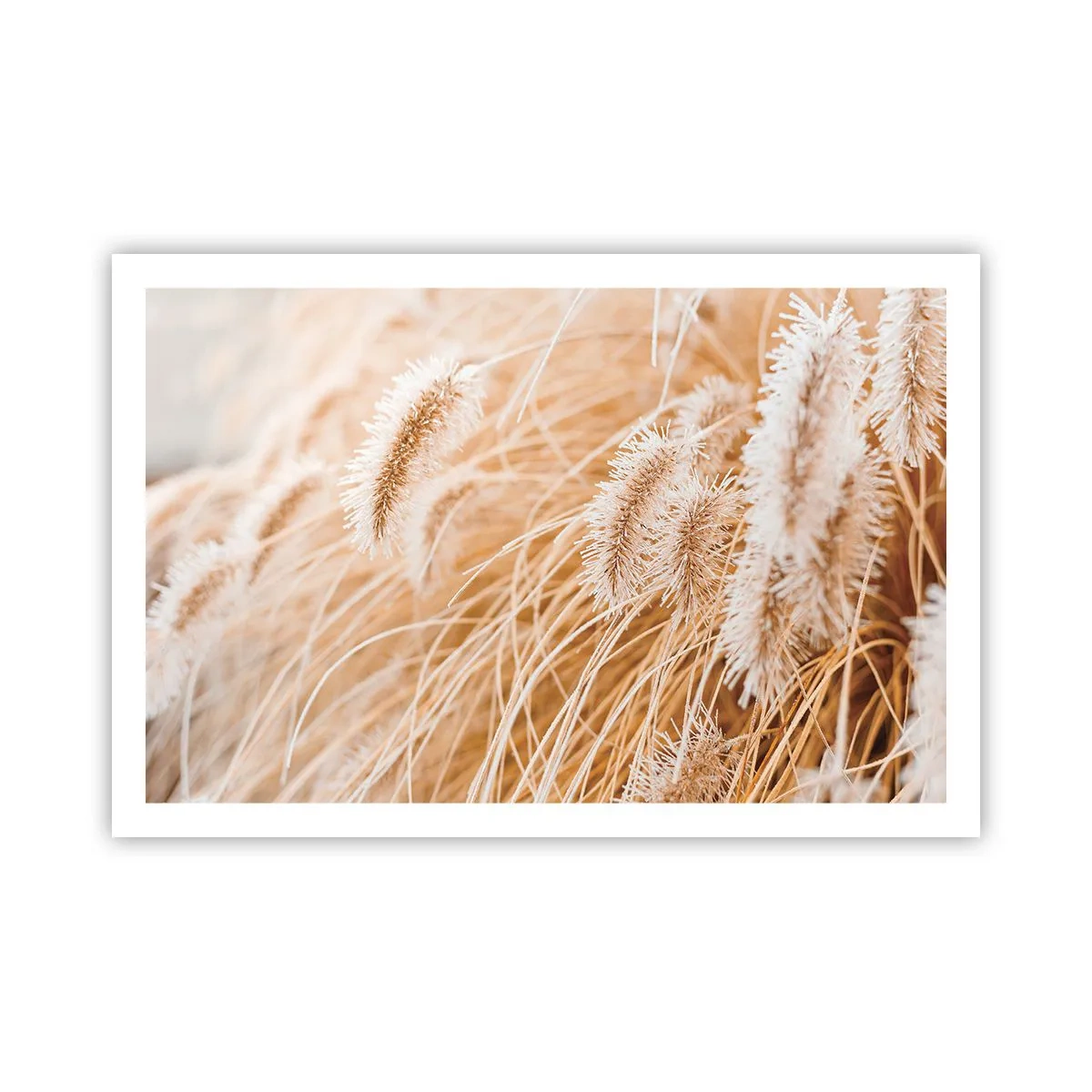 Poster - Foșnetul auriu al ierburilor - 91x61 cm