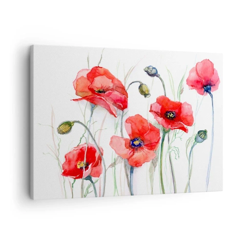 Tablou pe pânză Canvas - Maci în acuarelă pe un fundal delicat - 70x50cm - Flori poloneze - Decorațiune modernă pentru perete pentru living și dormitor ARTTOR