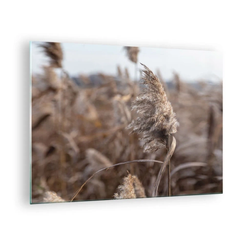 Tablou pe sticlă - Prim-plan cu iarbă uscată care se leagănă în vânt - 70x50cm - E timpul să zbori cu vântul - Decorațiune modernă pentru perete pentru living și dormitor ARTTOR
