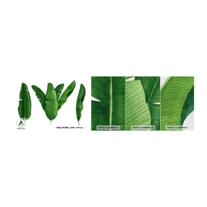 Mostră tapet Premium Canvas - Simetrie verde - Frunza de banana, Tropical, Stilul botanic - 100x30 cm