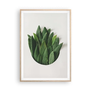 Poster în ramă de stejar deschis - Curiozitatea nestăvilită - 70x100 cm