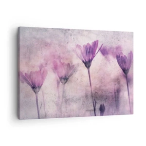 Tablou pe pânză Canvas - Flori delicate în nuanțe de violet pe un fundal deschis - 70x50cm - Un vis de flori - Decorațiune modernă pentru perete pentru living și dormitor ARTTOR