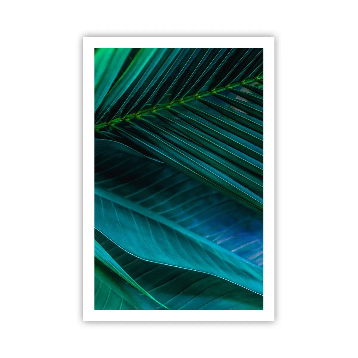 Poster - Anatomia verdelui - 61x91 cm