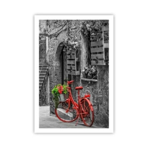 Poster - Alee din Toscana - 61x91 cm