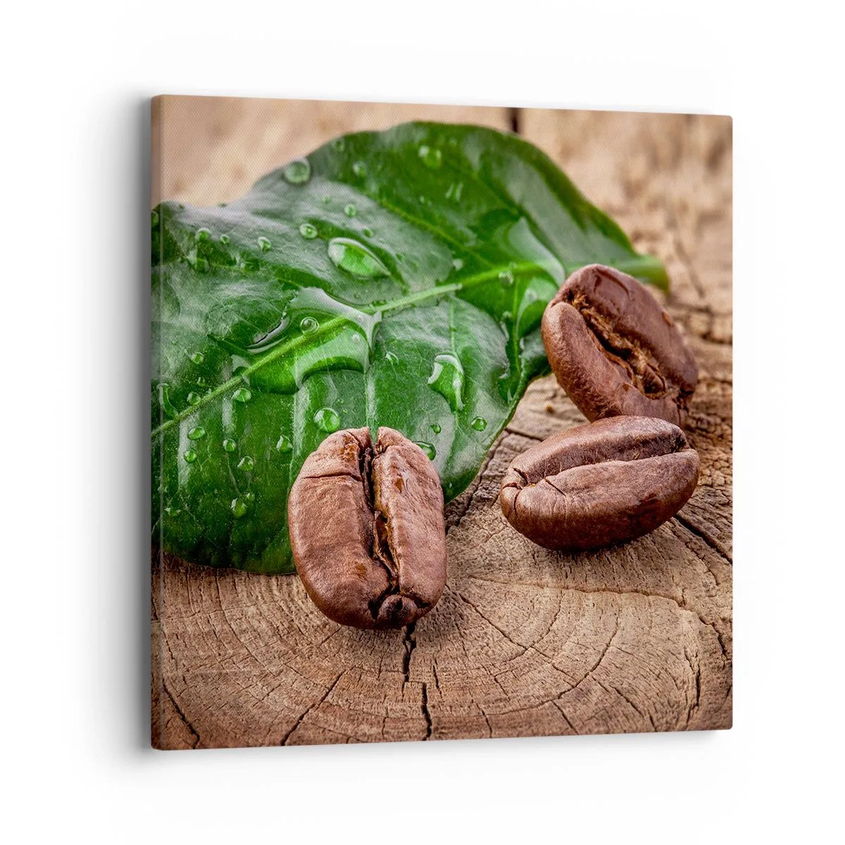 Tablou pe pânză - Cea mai adevărată și închisă la culoare - 40x40 cm