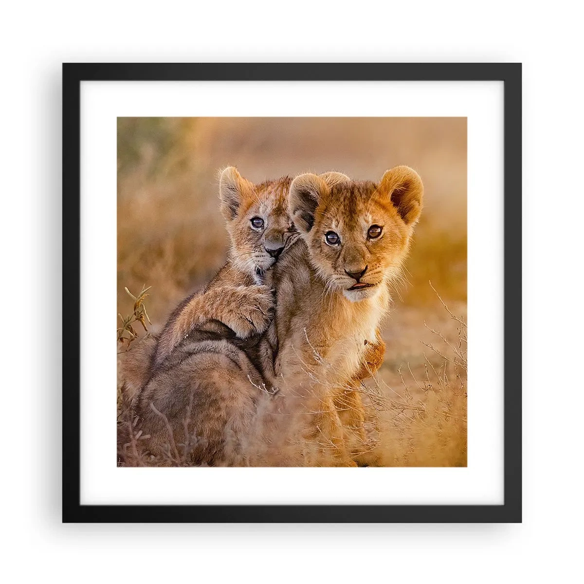 Poster în ramă neagră - Nu deranjați! Ne distrăm - 40x40 cm