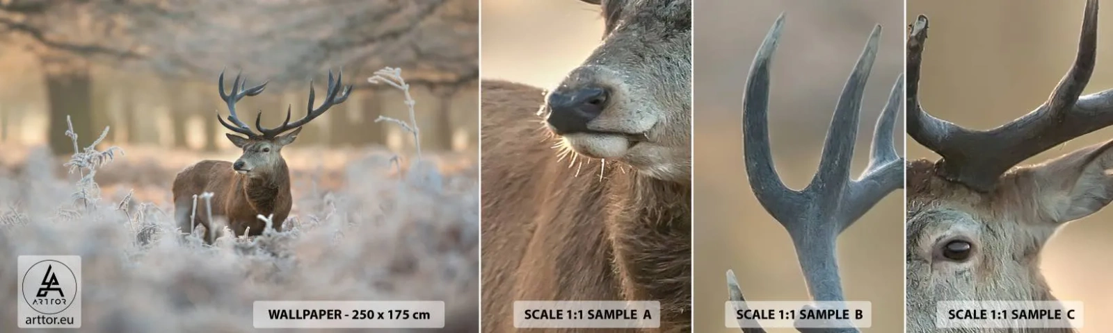 Mostră tapet autocolant Deluxe Sticker - O dimineață răcoroasă - Peisaj, Cerb, Animale - 100x30 cm