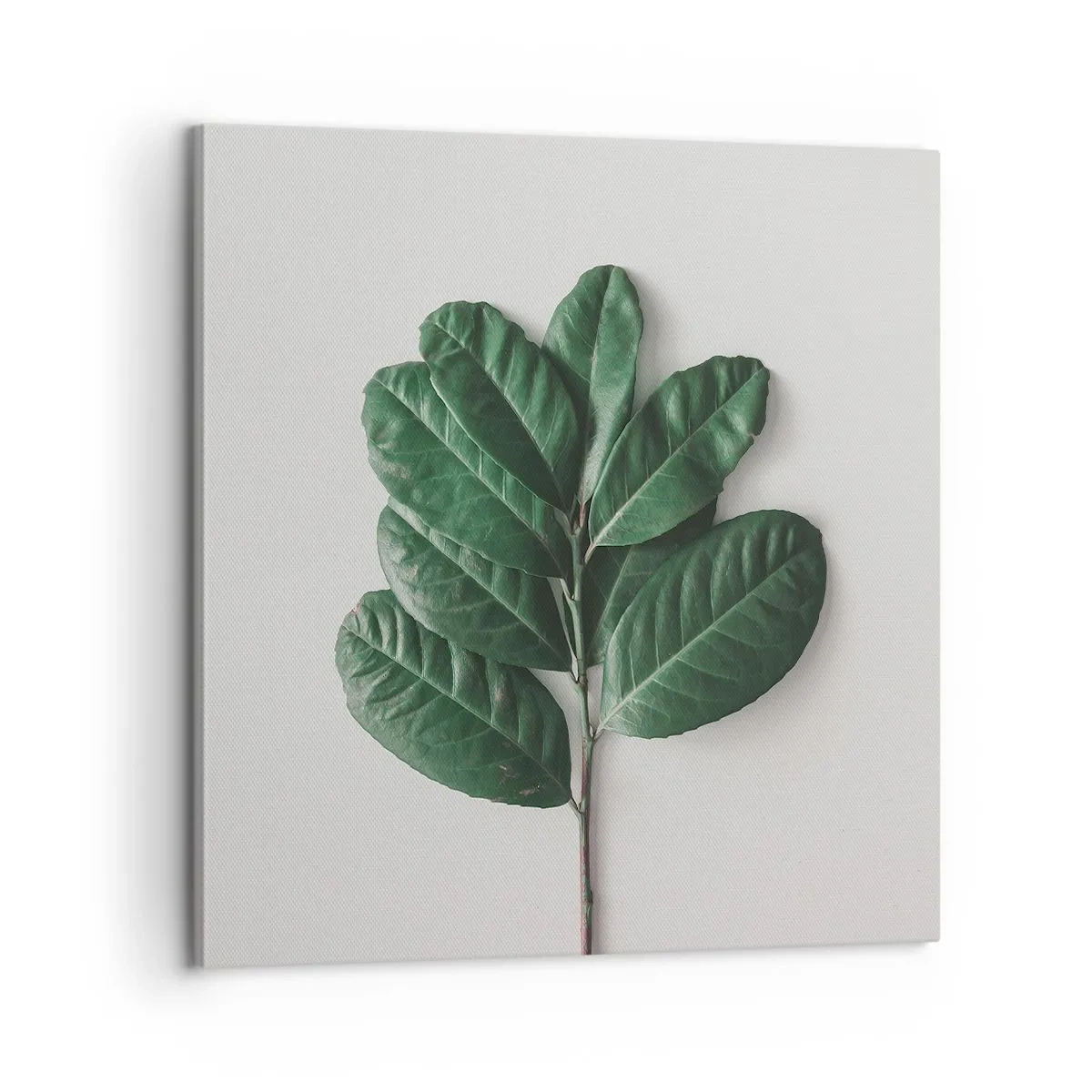 Tablou pe pânză - Desenul naturii însăși - 60x60 cm