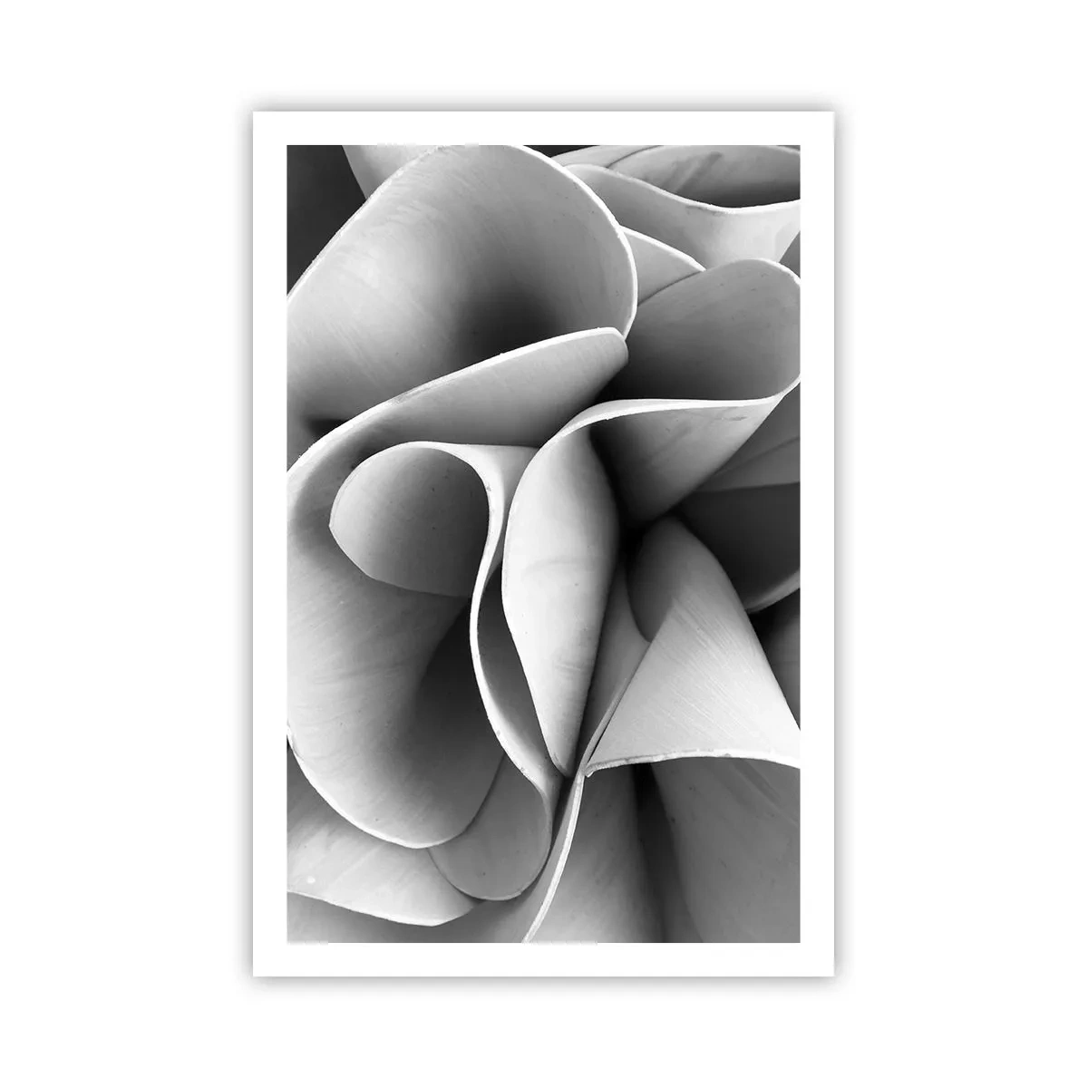 Poster - Se întâmplă în spațiu - 61x91 cm