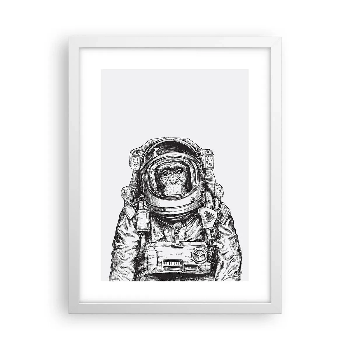 Poster în ramă albă - Evoluție alternativă - 30x40 cm