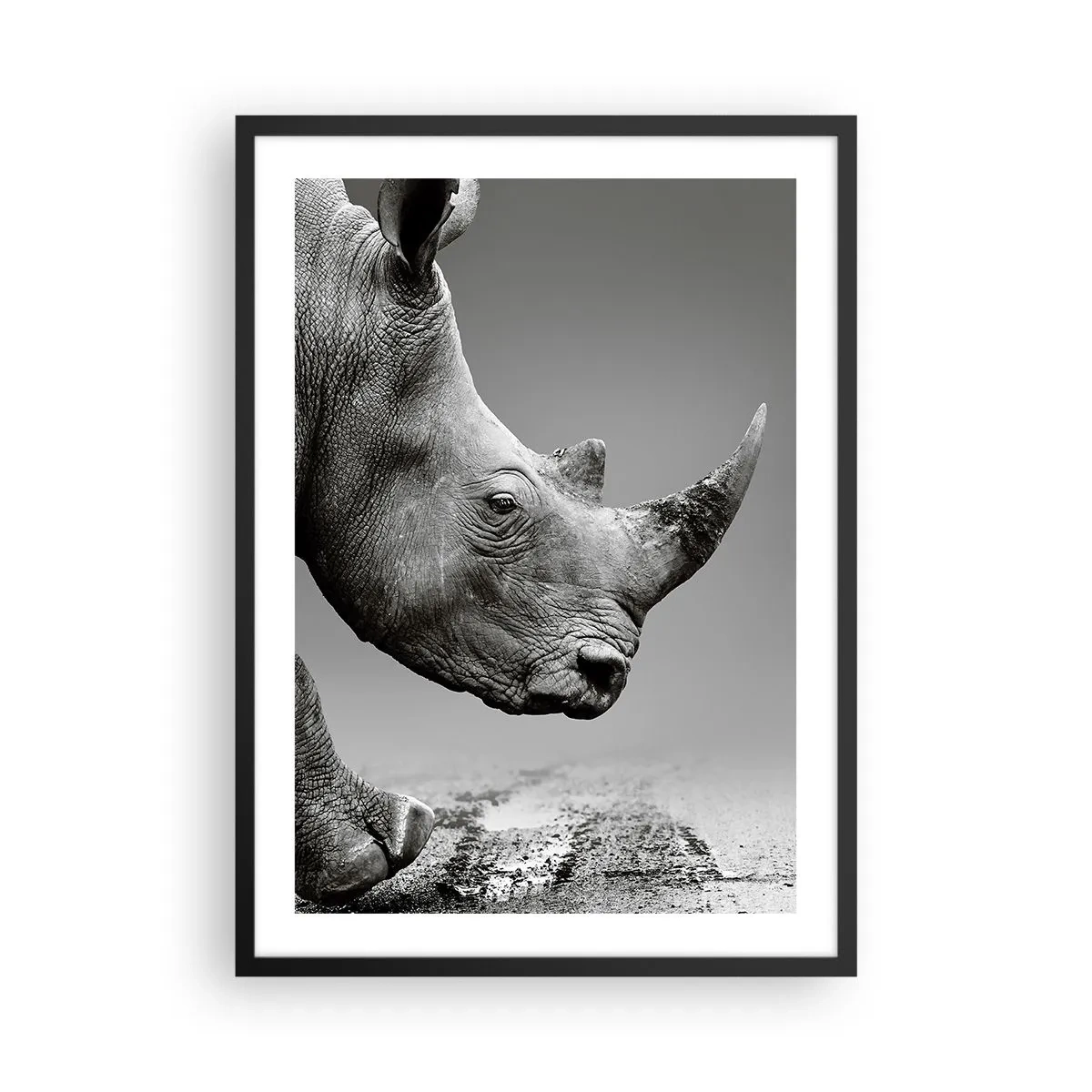 Poster în ramă neagră - Prim-plan alb-negru al unui cap de rinocer - 50x70cm - O forță de neoprit - Decorațiune modernă pentru perete pentru living și dormitor ARTTOR