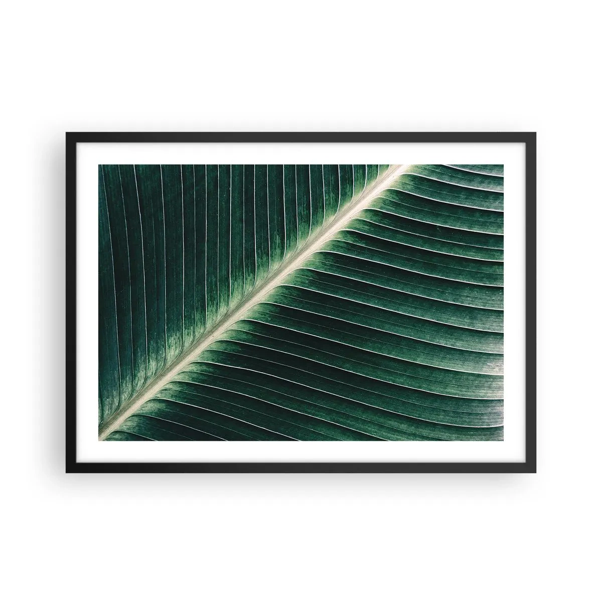 Poster în ramă neagră - Ritmul naturii - 70x50 cm