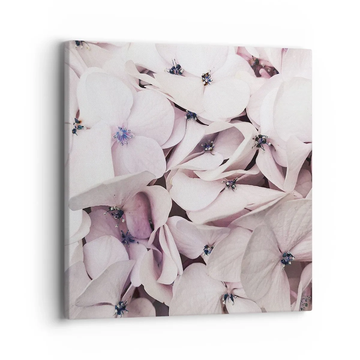 Tablou pe pânză - Într-un potop de flori - 40x40 cm