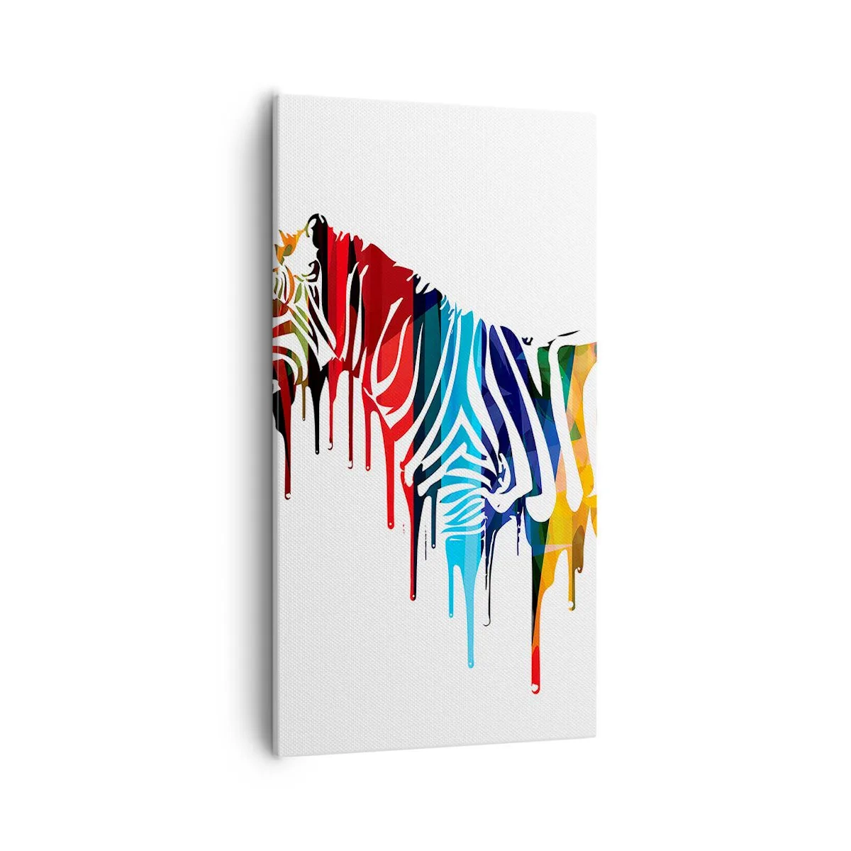 Tablou pe pânză - Nu doar alb și negru - 55x100 cm