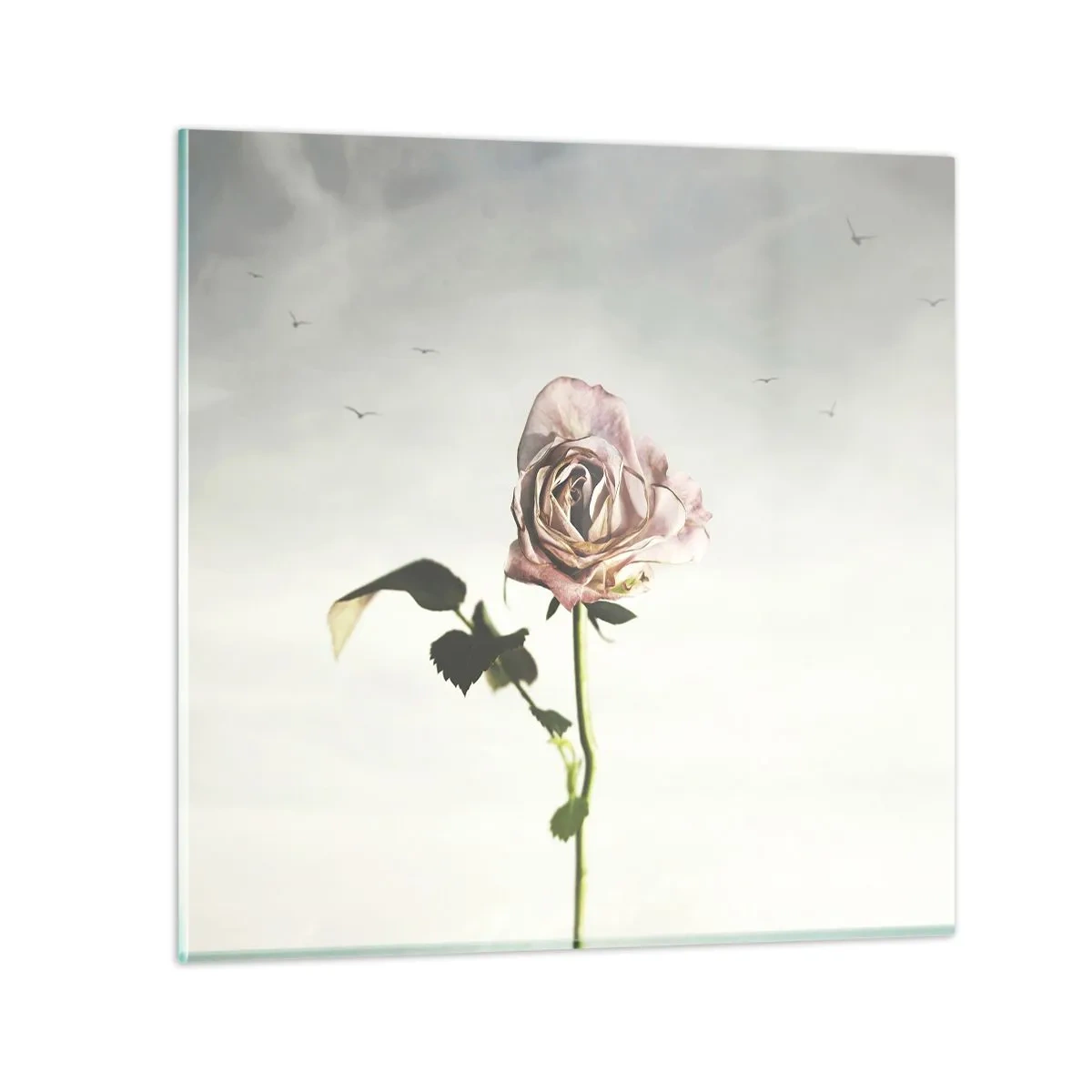 Tablou pe sticlă - Primăvara binevenită - 60x60 cm