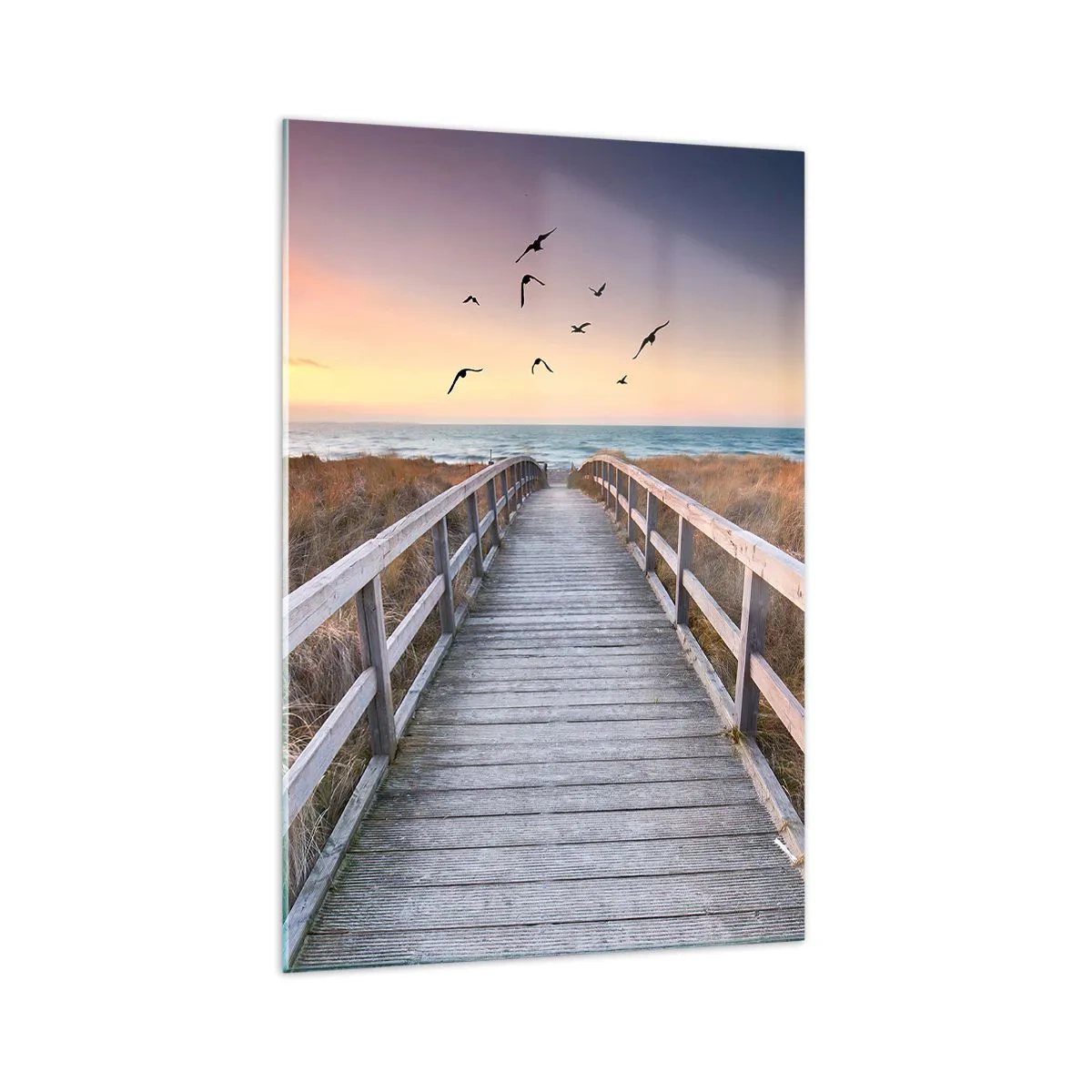 Tablou pe sticlă - Spațiul pentru a zbura - 70x100 cm