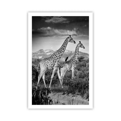 Poster - Clasele superioare din Africa - 61x91 cm