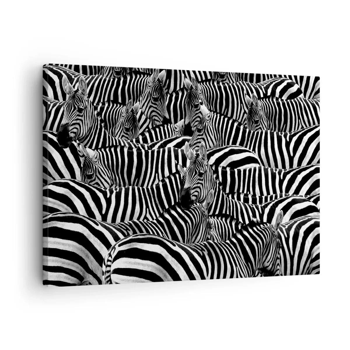 Tablou pe pânză Canvas - Un grup de zebre cu dungi albe și negre creând un model de simetrie. - 70x50cm - Portret de grup cu dungi - Decorațiune modernă pentru perete pentru living și dormitor ARTTOR