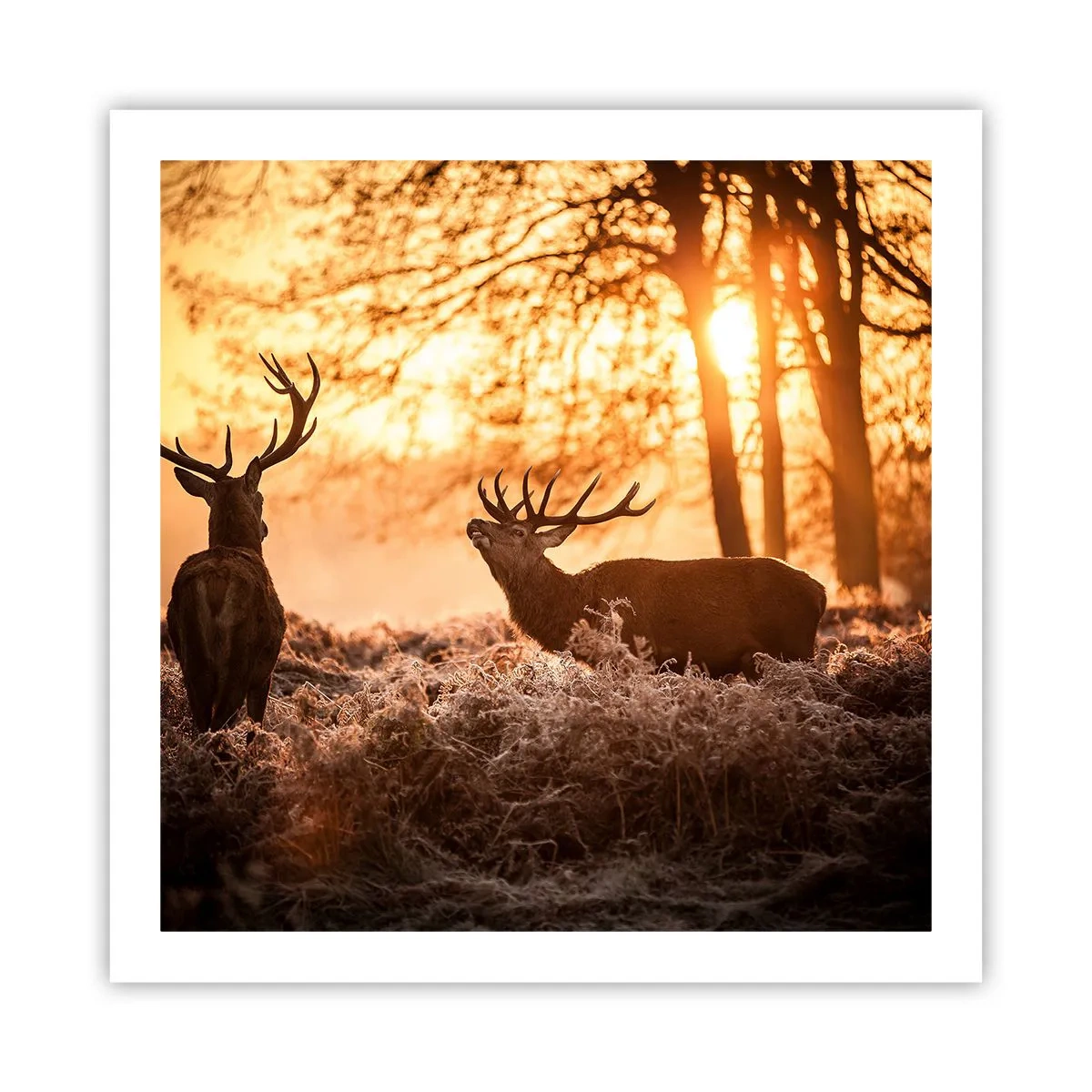 Poster - Visul unui vânător - 60x60 cm