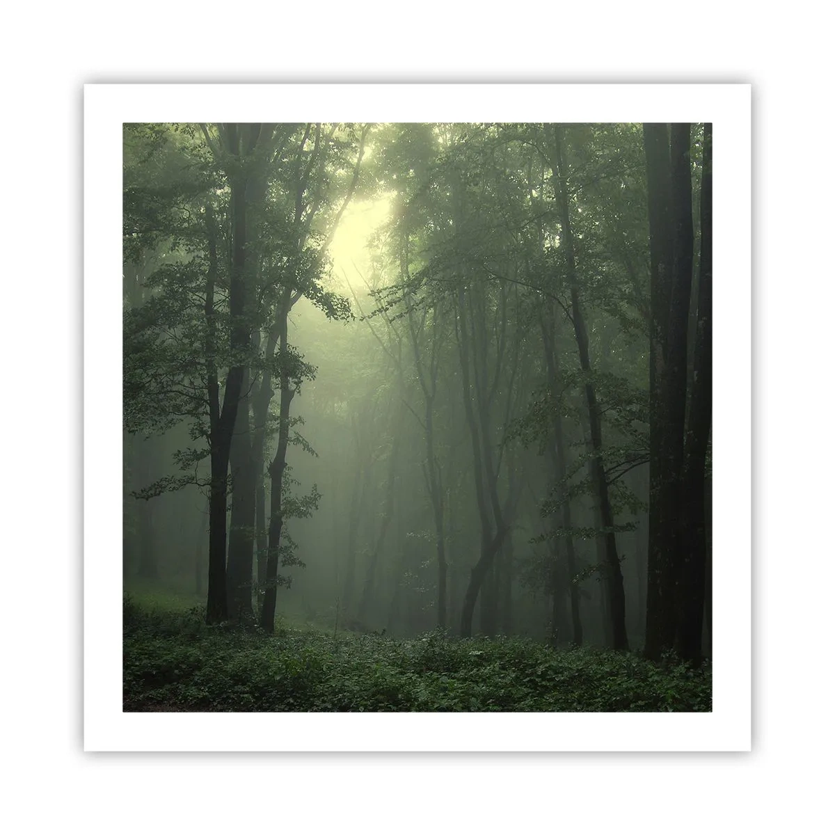 Poster - Înainte să se trezească - 60x60 cm
