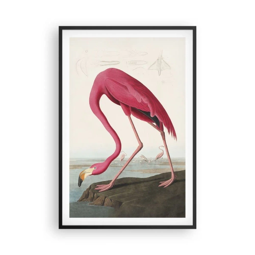 Poster în ramă neagră - O creatură uimitoare - 61x91 cm