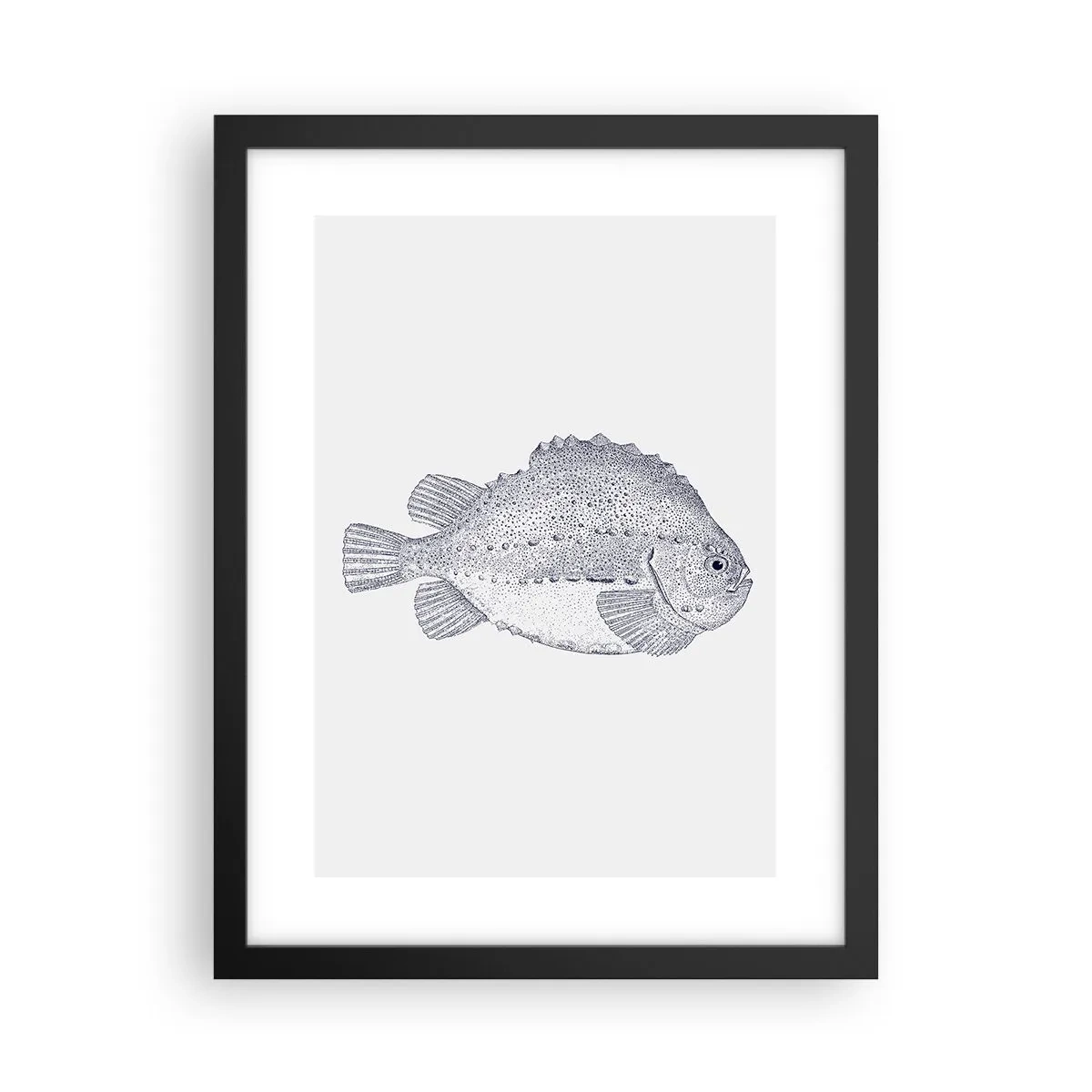 Poster în ramă neagră - Pentru albumul naturalistului - 30x40 cm