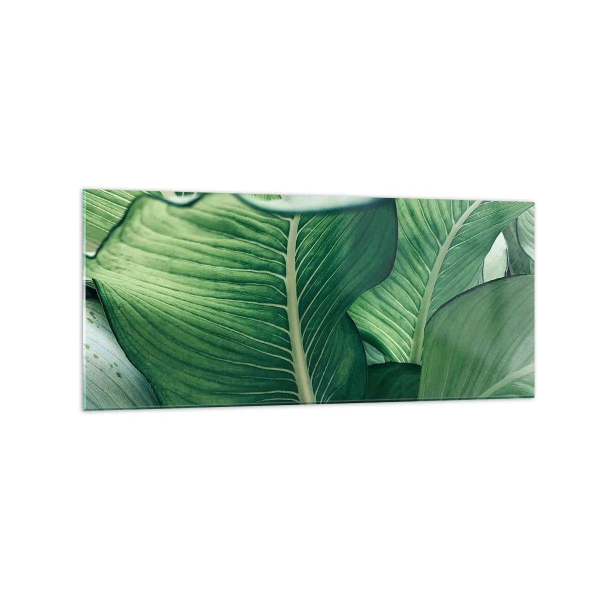 Tablou pe sticlă - Viață intensă în verde - 120x50 cm