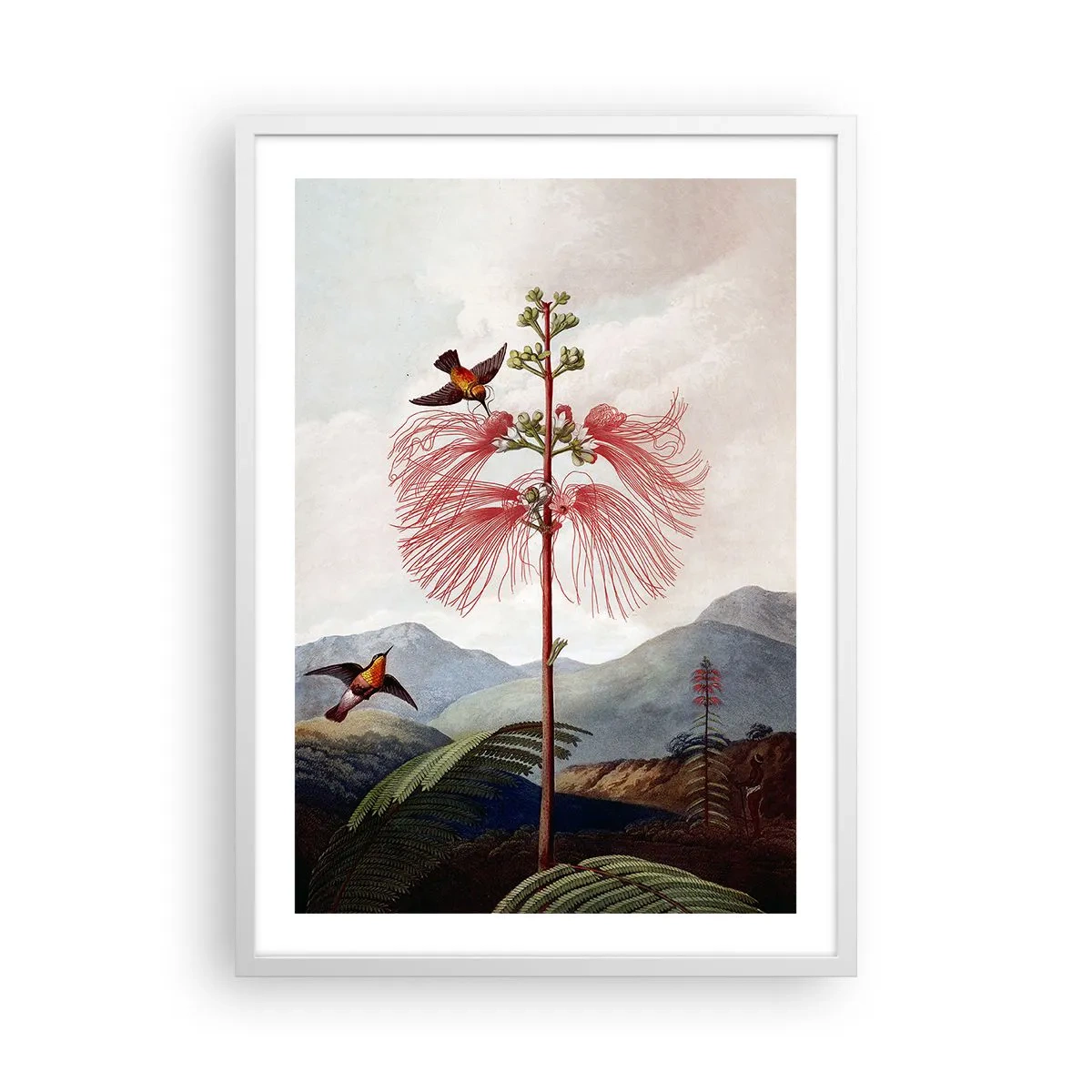 Poster în ramă albă - Într-un paradis tropical - 50x70 cm