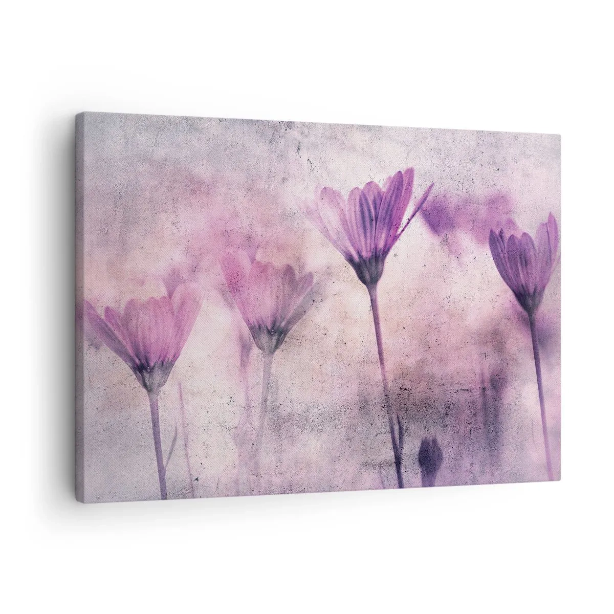 Tablou pe pânză - Un vis de flori - 70x50 cm