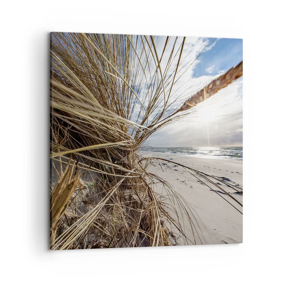 Tablou pe pânză - O întâlnire a elementelor - 50x50 cm