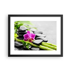 Poster în ramă neagră - Într-un echilibru pașnic - 40x30 cm