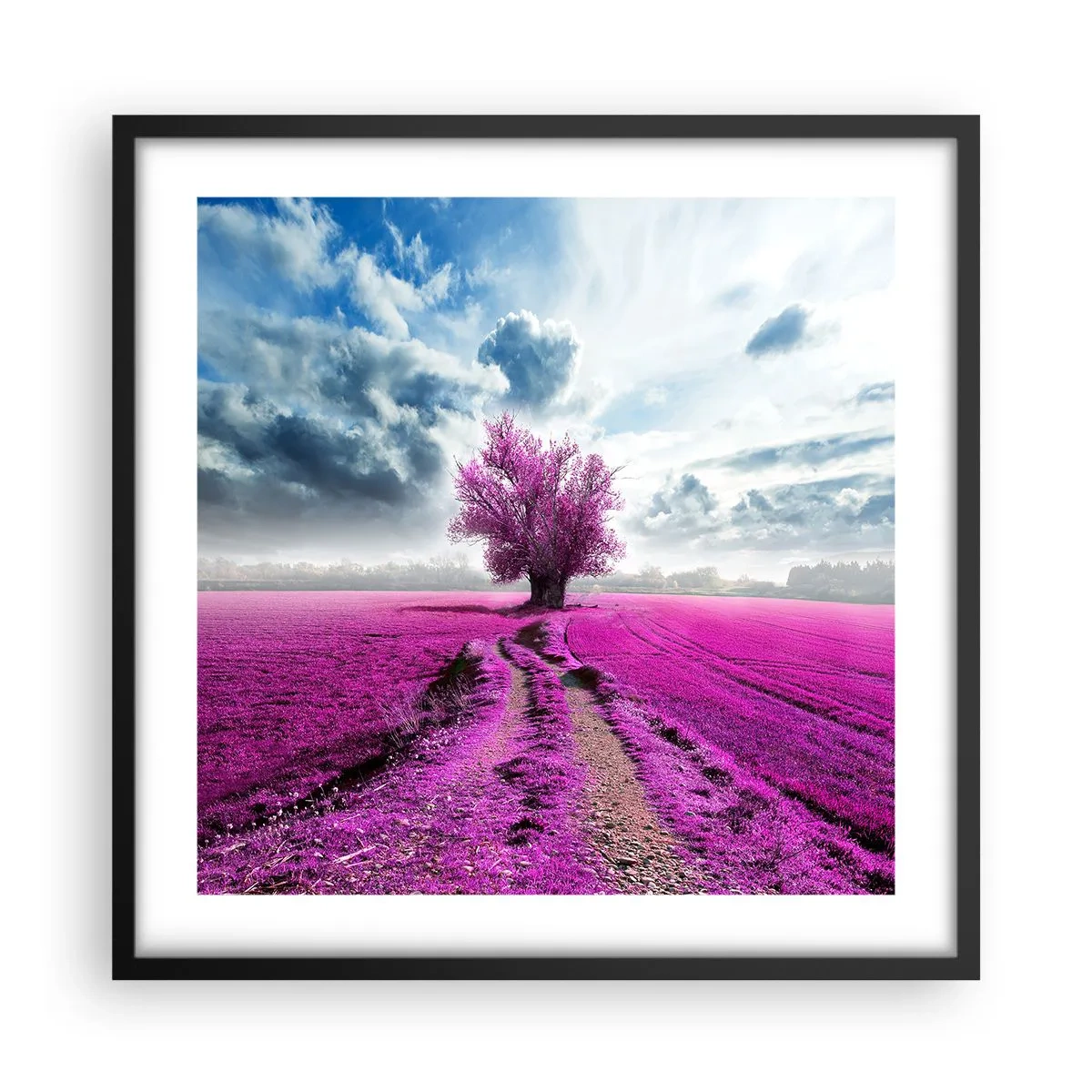 Poster în ramă neagră - Câmpul cu iarbă neagră - 50x50 cm