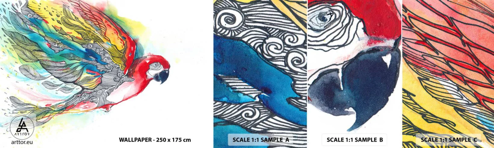Mostră de Tapet Standard Eco - Trăiește în culori - Pasăre, Papagal, Pene colorate - 100x30 cm
