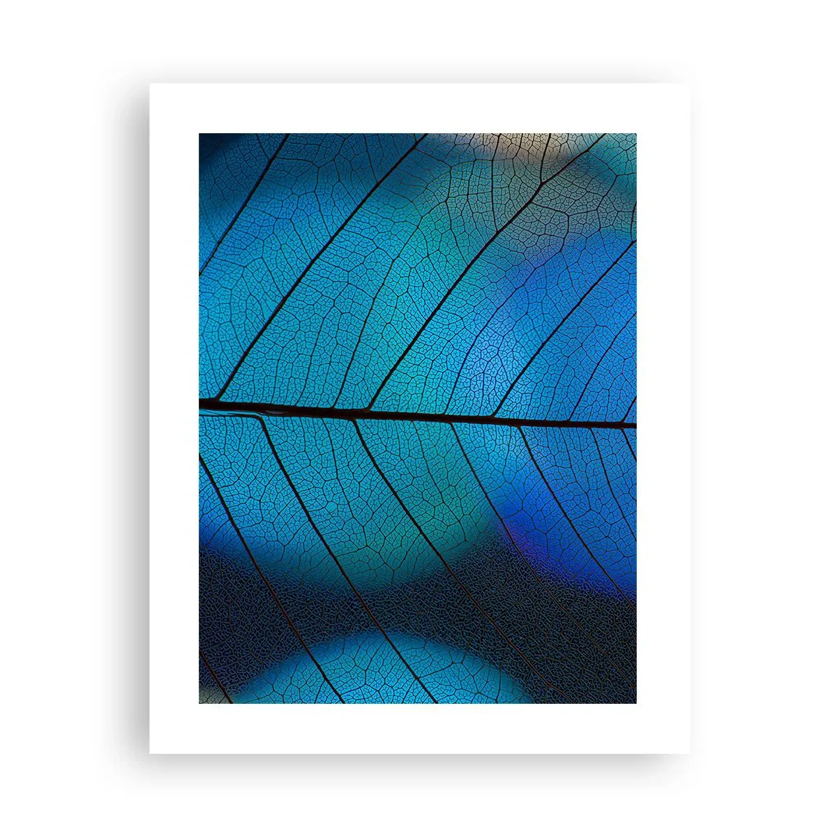 Poster - Construcție de finețe - 40x50 cm